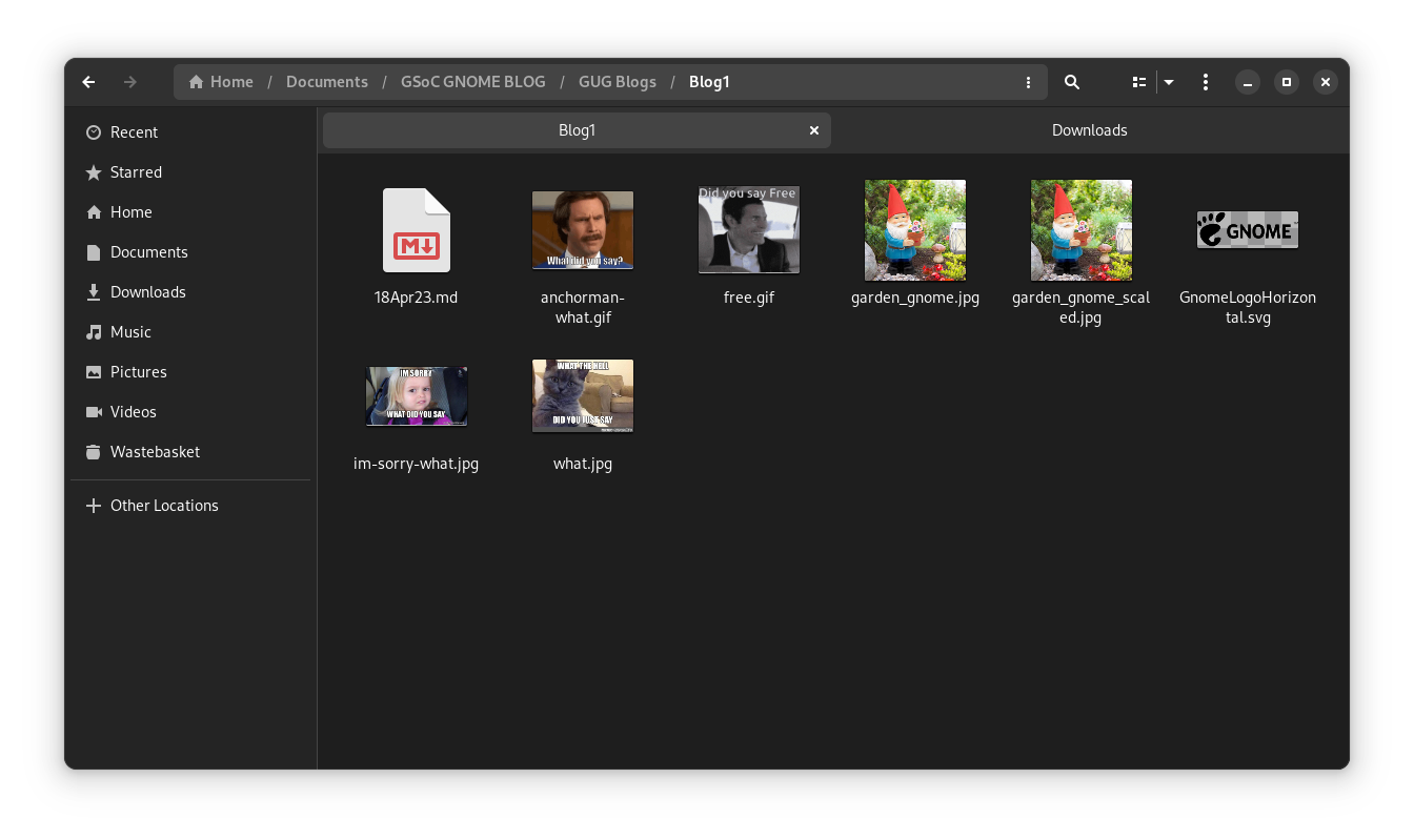 Screenshot of Nautilus, the default file manager of GNOME